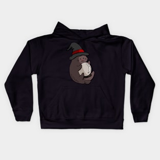 Cute Kittens - Crystal Ball Kids Hoodie